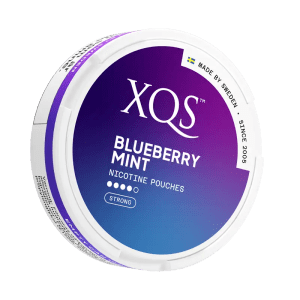XQS Blueberry Mint Strong 8mg